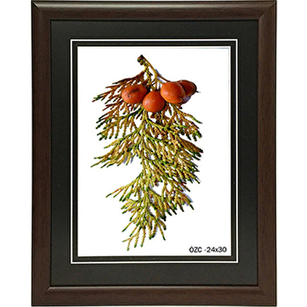 Özcanlar Dekorasyon Resim Çerçevesi 24 x 30 cm Kahverengi Resim & Fotoğraf Çerçevesi Fiyatı