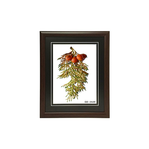 Özcanlar Dekorasyon Resim Çerçevesi 24 x 30 cm Kahverengi Resim & Fotoğraf Çerçevesi Fiyatı