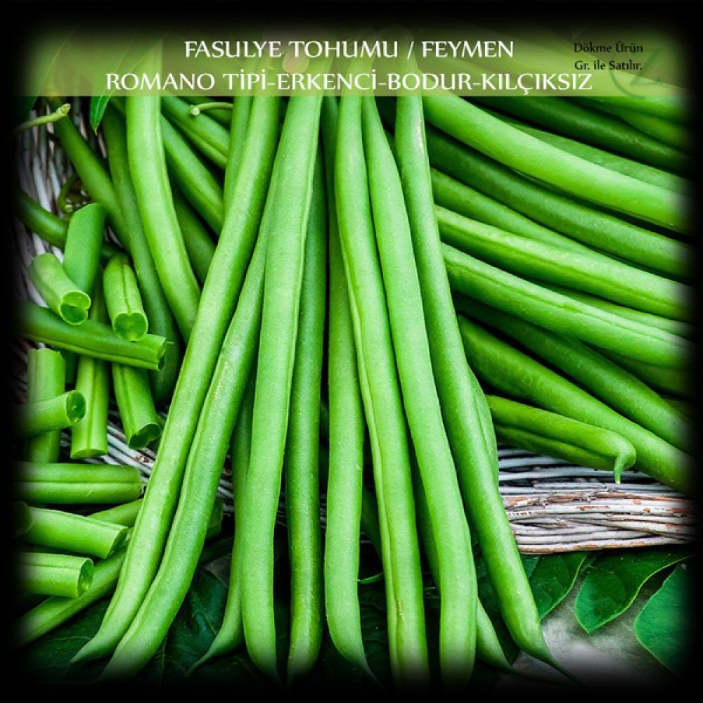 Özel Feymen Fasülye Tohumu 1 kg. (2500+ Adet) Kılçıksız Erkenci Bodur Fasulye Tohumu - 1 kg Oto Boyaları Fiyatı