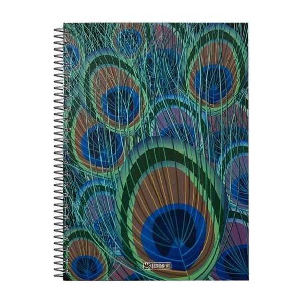 Özgün Defter Özgün A4 Spiralli Sert Kapak Defter 160 Yaprak Kareli 4 Renk Bölmeli Defter Fiyatı