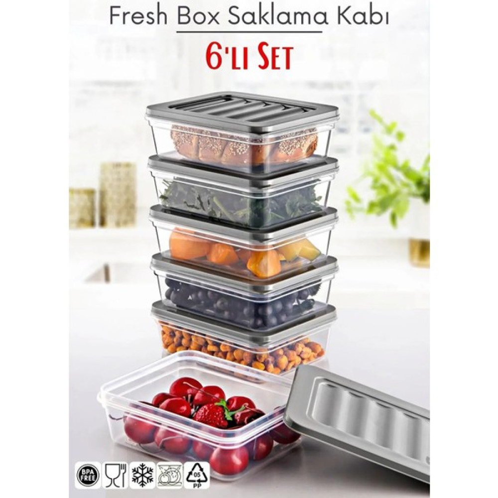 Özmen Home 6'lı Set Freshbox Mikrodalga ve Dipfrize Uygun Saklama Kabı - Gri Oto Boyaları Fiyatı