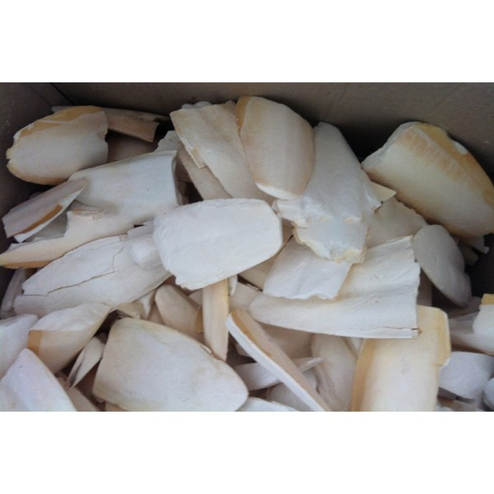 ÖzPati Kırık Mürekkep Balığı Kemiği (Kalamar) 100 gr Oto Boyaları Fiyatı