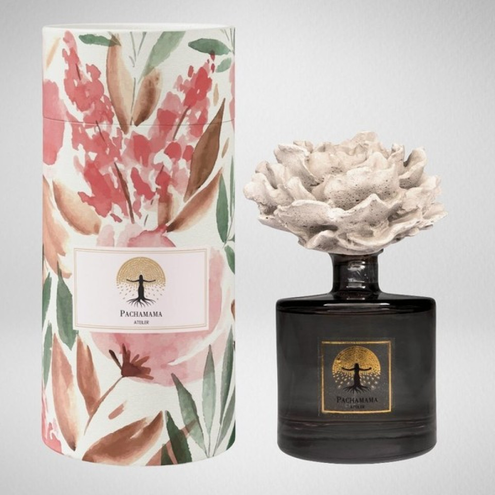 Pachamama Black Vanilla Oda Kokusu 500 ml Oto Boyaları Fiyatı