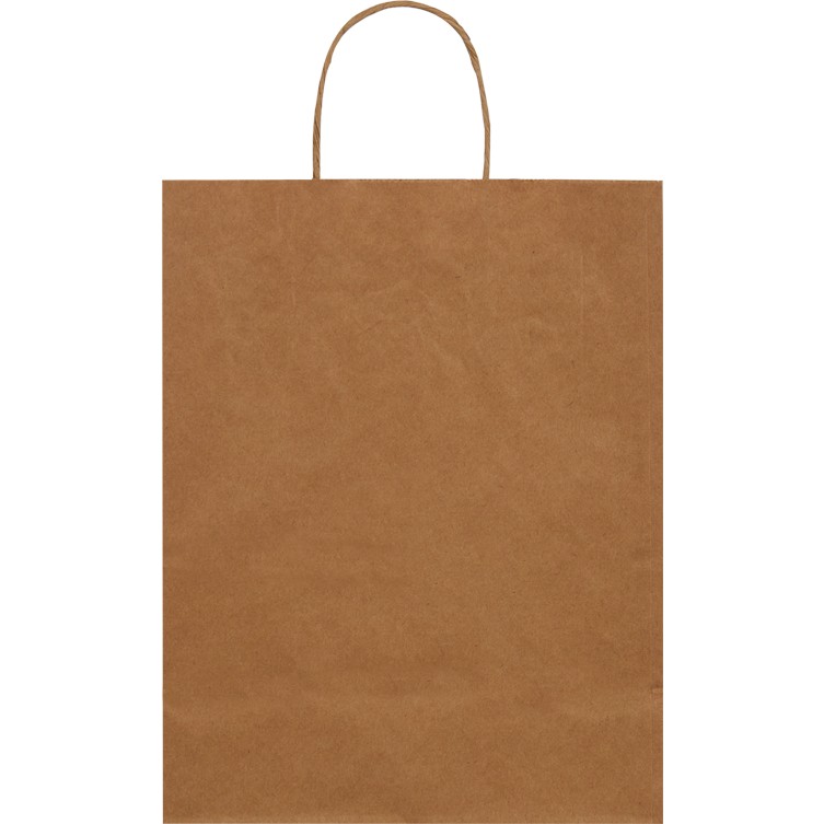 Packanya 20x10x22-100 Adet Burgu Saplı Kraft Çanta - 100 Adet Diğer Fiyatı