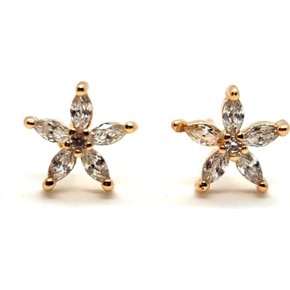 Pag Accessories Zirkon Taşlı Mini Yıldız Model Çivi Küpe Küpeler Fiyatı