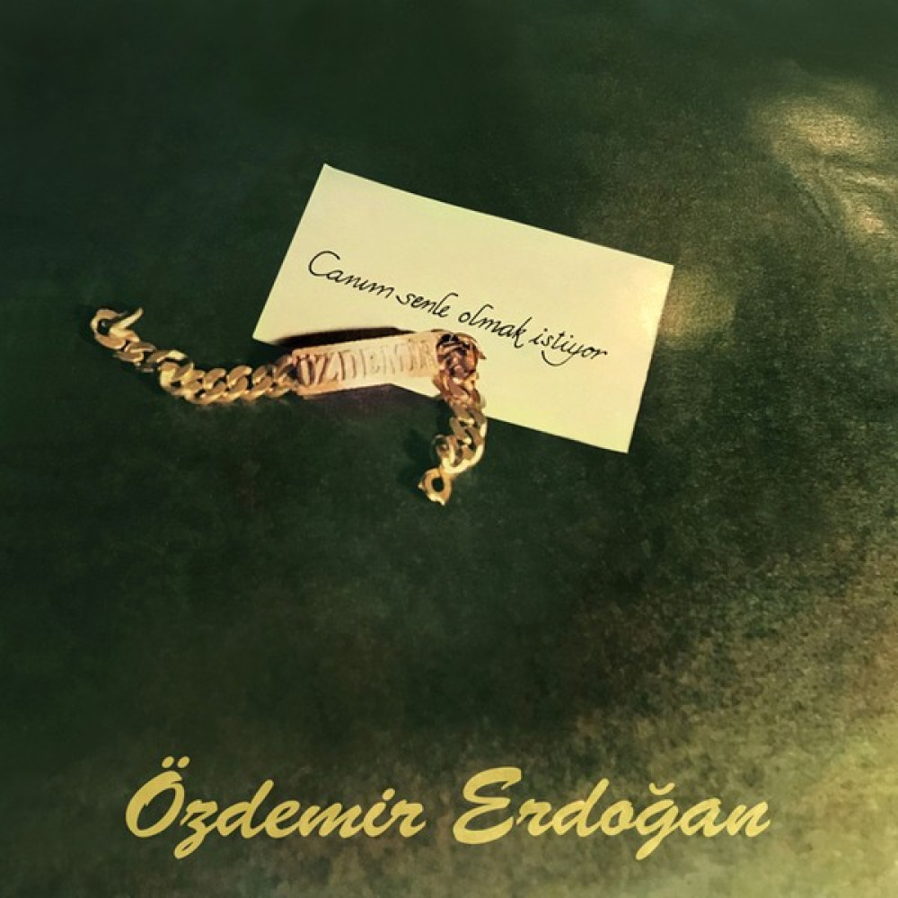 Pal Özdemir Erdoğan / Canım Senle Olmak Istiyor (Analog 180GR)(PLAK) Pikap & Aksesuarları Fiyatı