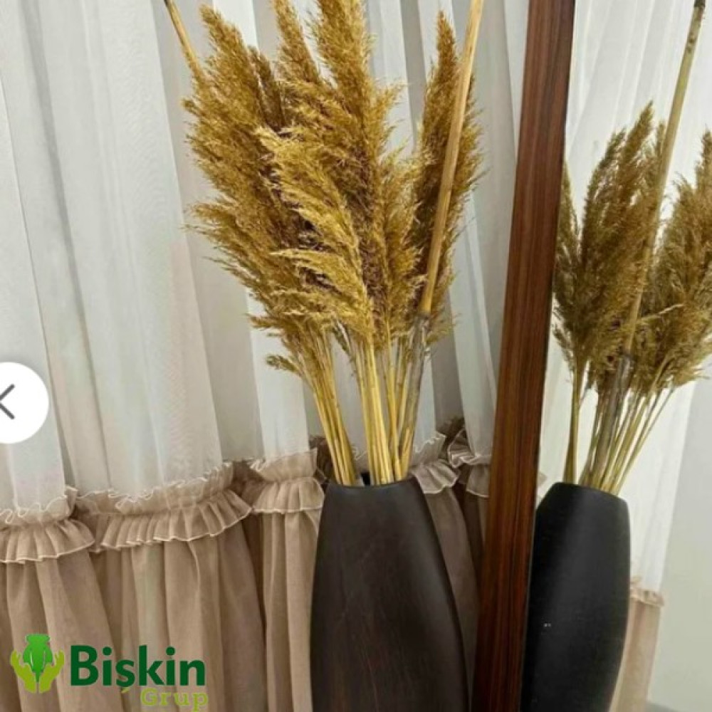 Pampas Natural Dekorasyon Süs Çiçeği 10 - Açık Kahverengi Ev & Dekorasyon Aksesuarları Fiyatı