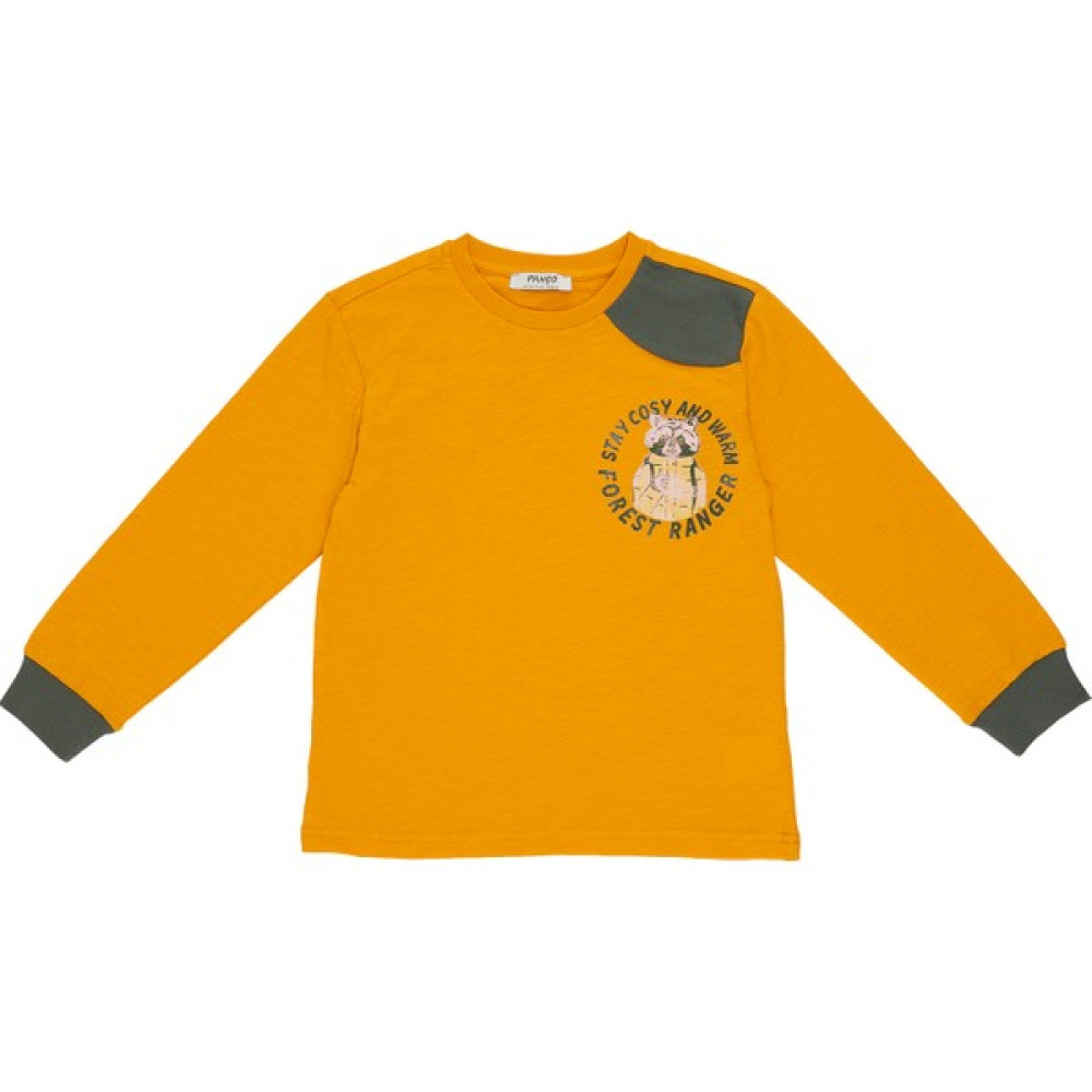Panço Erkek Çocuk Baskı Detaylı Uzun Kollu T-Shirt Erkek Çocuk T-shirt Fiyatı