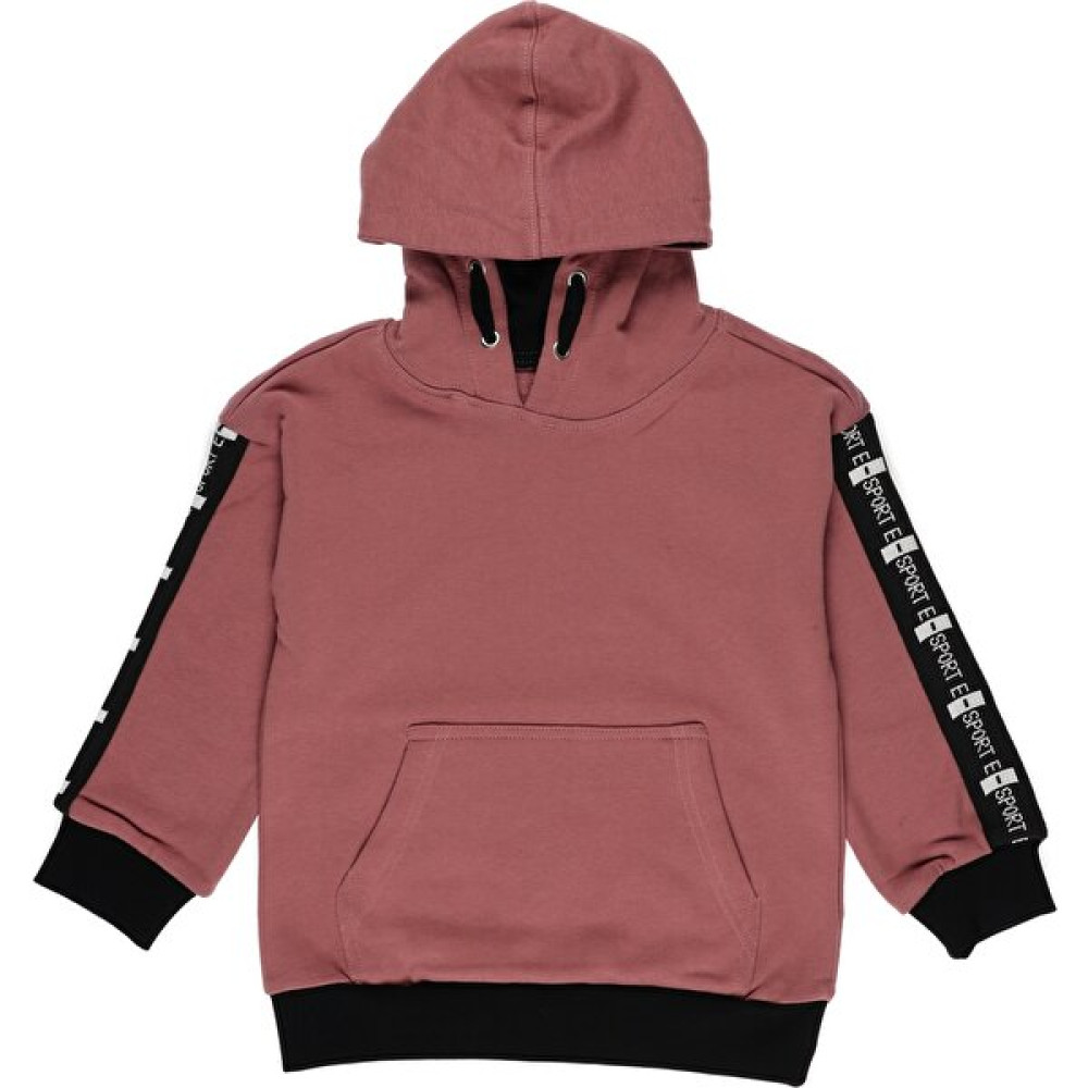 Panço Erkek Çocuk Yazılı Şerit Detaylı Kapüşonlu Sweatshirt Erkek Çocuk Sweatshirt Fiyatı
