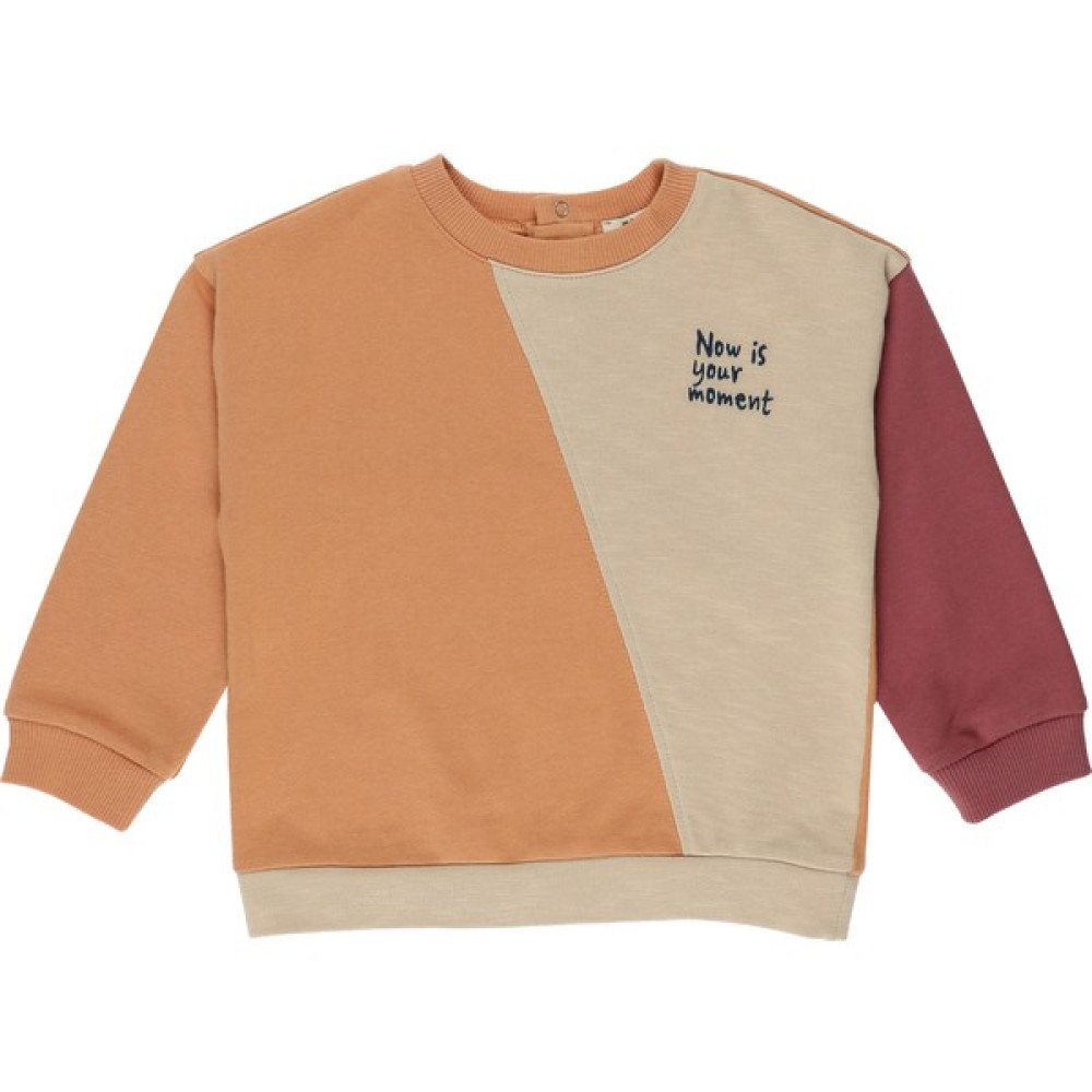 Panço Renkli Sweatshirt Erkek Çocuk Sweatshirt Fiyatı