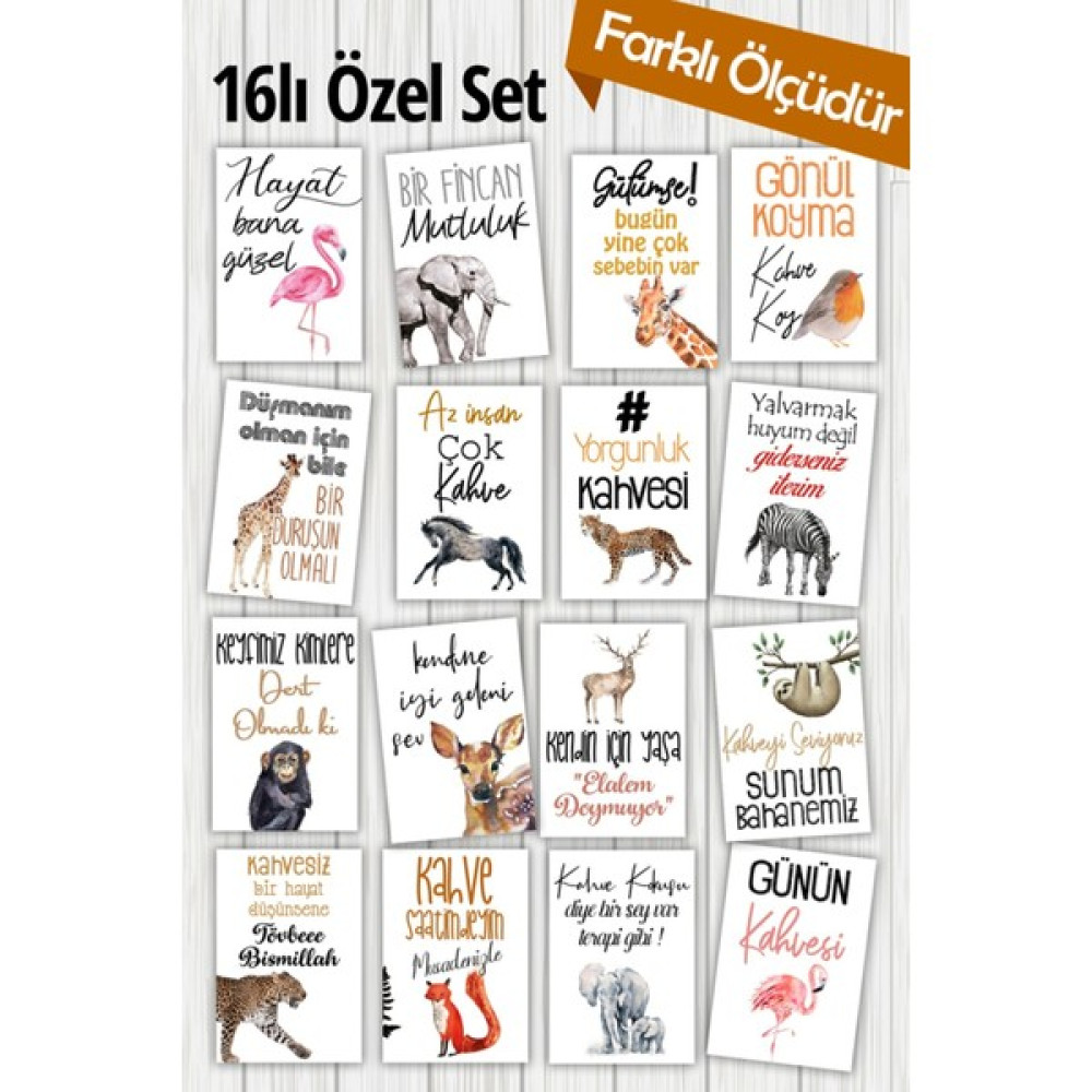 Pankart Evi 16'lı Animals Motto Sunum Kahve Kartları Oto Boyaları Fiyatı