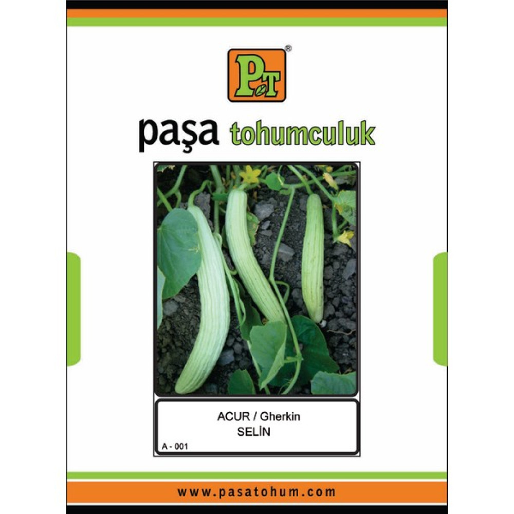 Paşa Tohumculuk Selin Acur Tohumu 5 Gr. 100 Paketli Kutu A5*100 - 1 Adet Oto Boyaları Fiyatı