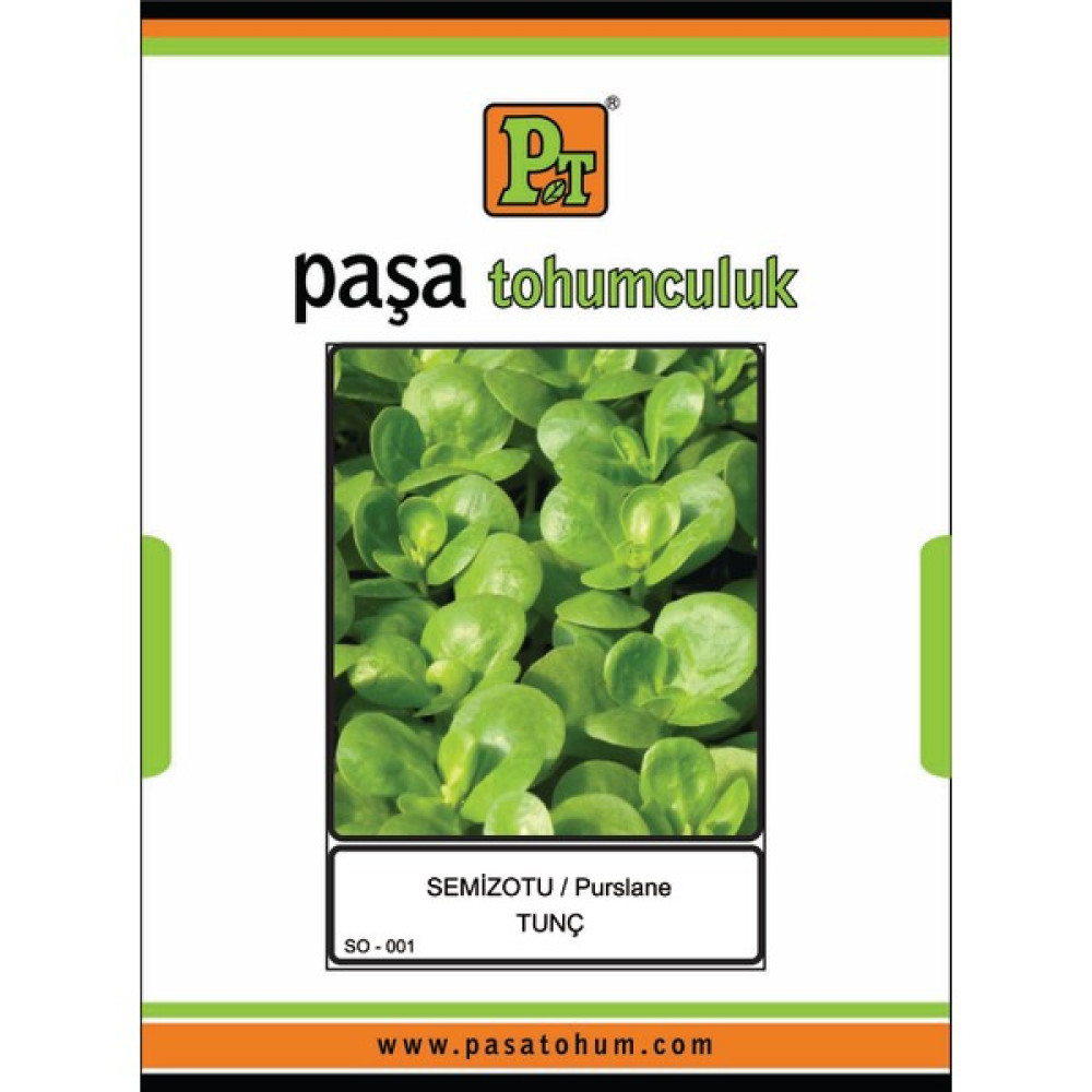 Paşa Tohumculuk Tunç Semizotu Tohumu 500 Gr. - 1 Adet Tohum Fiyatı