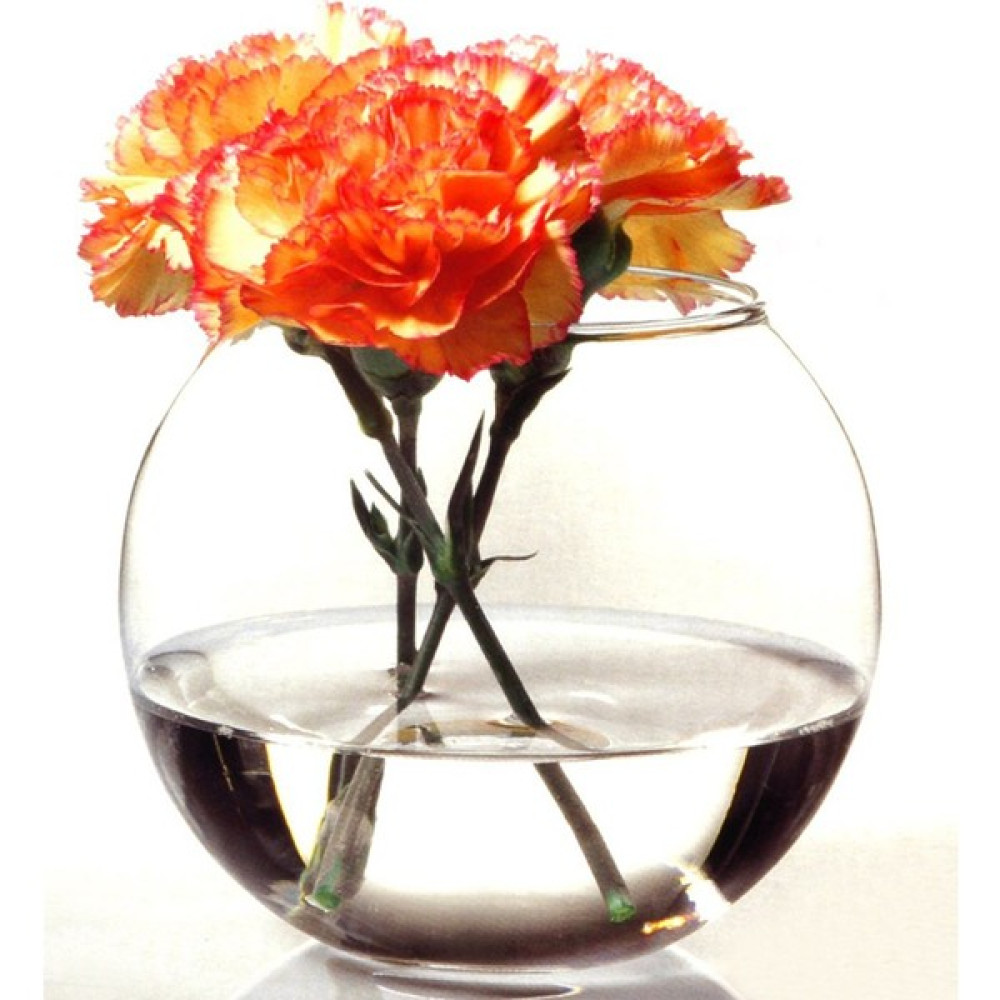 Paşabahçe 43417 Botanica Vazo - 825 ml Vazo Fiyatı