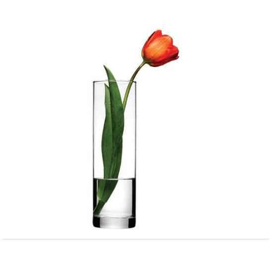 Paşabahçe 43767 Flora Cam Vazo Vazo Fiyatı
