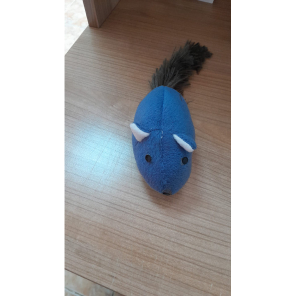 Pasam Pet Kedi Otlu Pelus Fare Mavi Evcil Hayvan Ürünleri Fiyatı