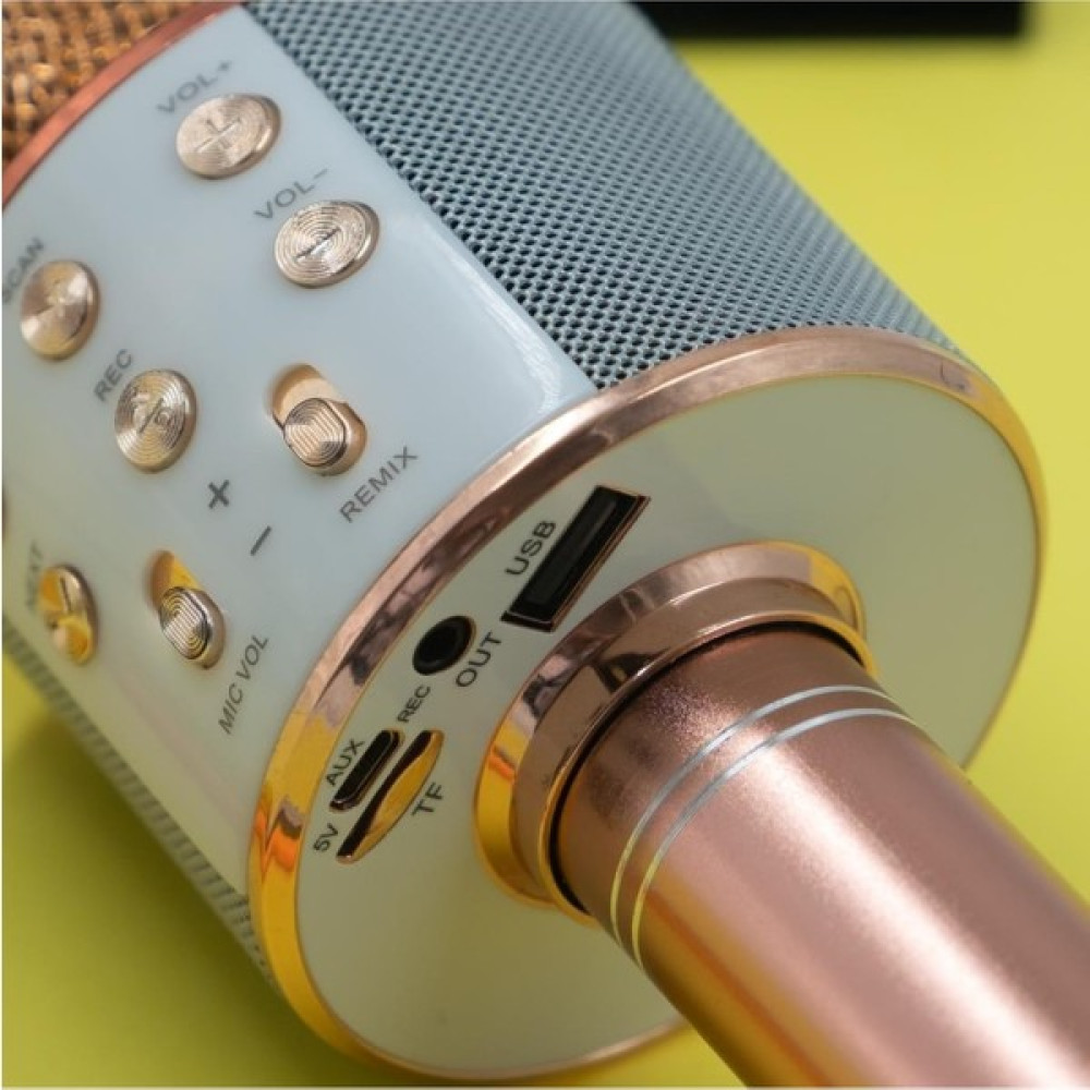 Pastime Karaoke Mikrofon Bluetoothlu Hafıza Kartı USB Bellek ve Aux Girişli Lila - Pembe Müzik Aletleri Fiyatı