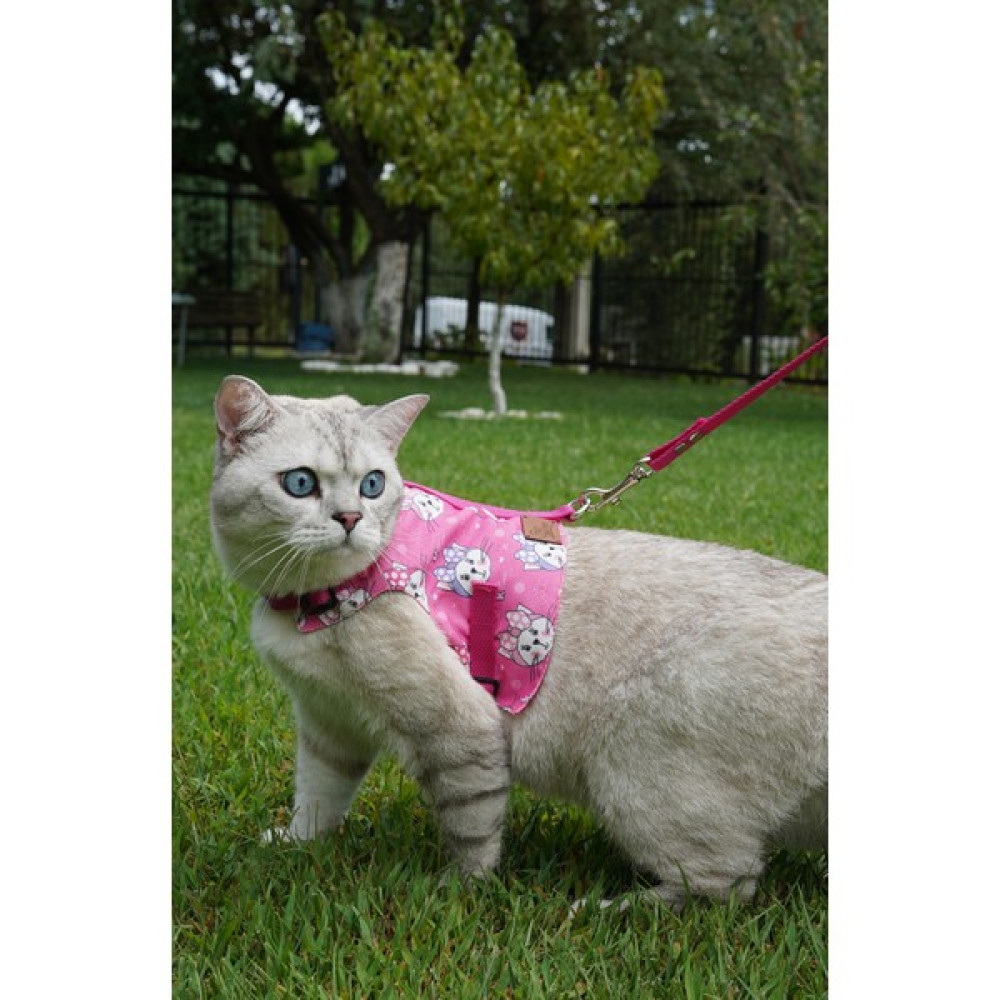 Pati Patron Kaçış Önleyici Kedi Gezdirme Tasması ve Küçük Irk Köpek Gezdirme Tasması - Açık Pembe - M Evcil Hayvan Ürünleri Fiyatı