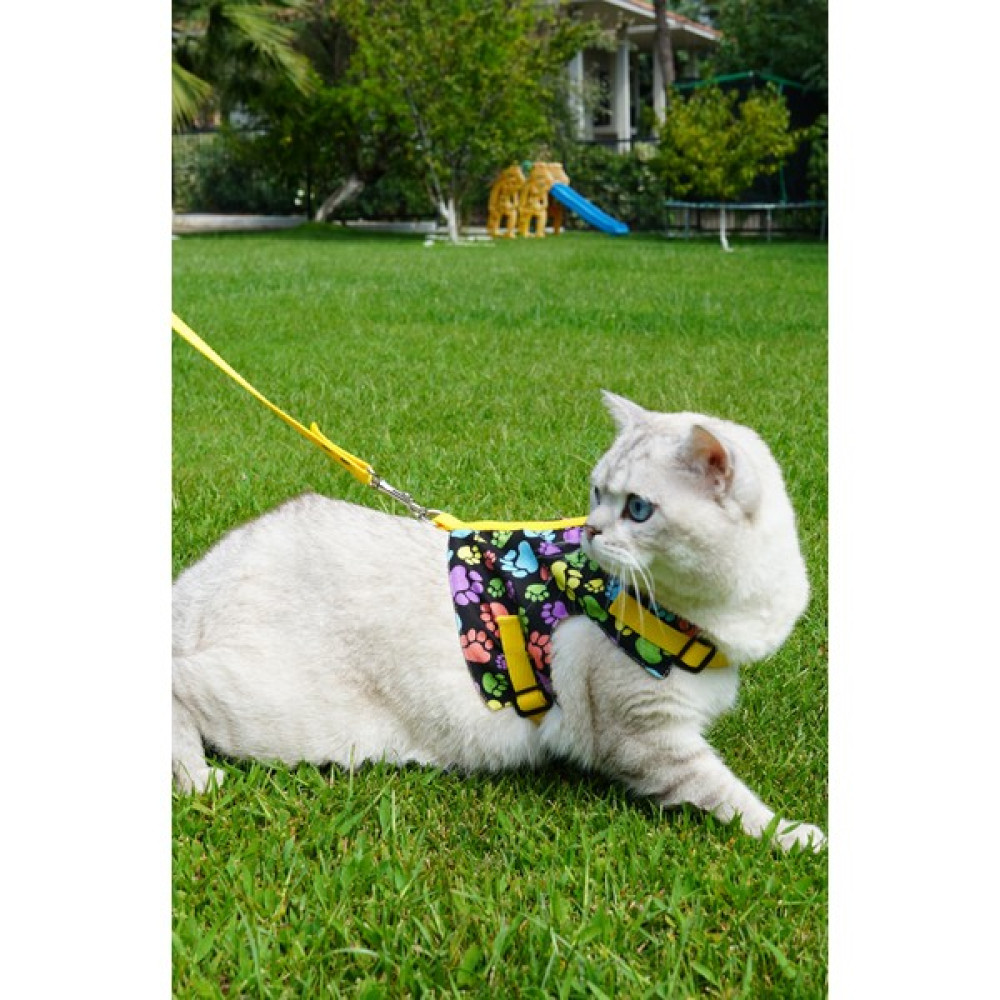 Pati Patron Kaçış Önleyici Kedi Gezdirme Tasması ve Küçük Irk Köpek Gezdirme Tasması - Sarı - Siyah - M Evcil Hayvan Ürünleri Fiyatı