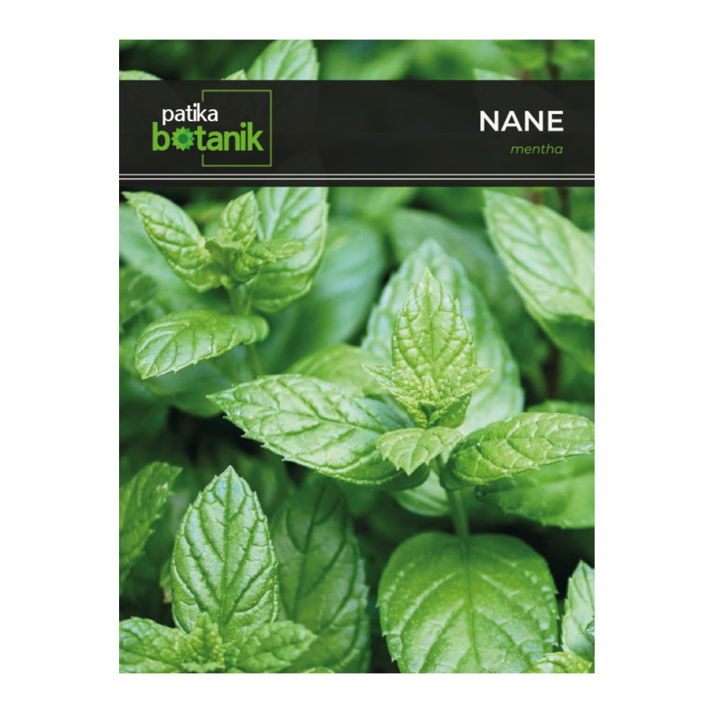 Patika Botanik 100 Adet Nane (MENTHA) Tohumu Tohum Fiyatı