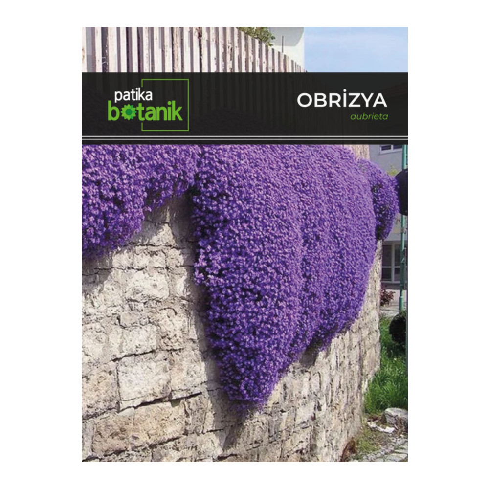 Patika Botanik 100 Adet Obrizya Çiçek Tohumu (AUBRİETA) Tohum Fiyatı