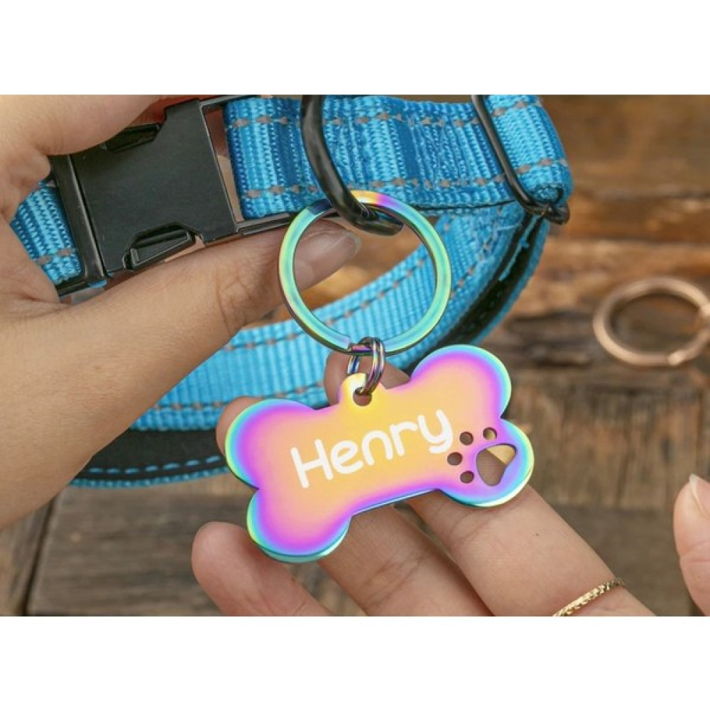Patimio Isimli Çelik Kedi Köpek Künyesi Rainbow Evcil Hayvan Ürünleri Fiyatı