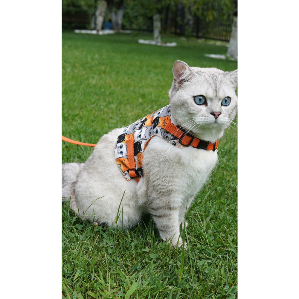 Patipatron Kaçış Önleyici Kedi Gezdirme Tasması Ve Küçük Irk Köpek Gezdirme Tasması XS Beden Evcil Hayvan Ürünleri Fiyatı