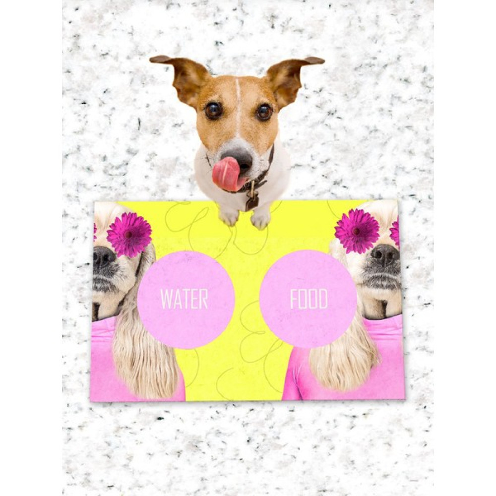 PatiPeti Köpek Kedi Mama ve Eğitim Altlığı Kaymaz Tabanlı Evcil Hayvan Ürünleri Fiyatı