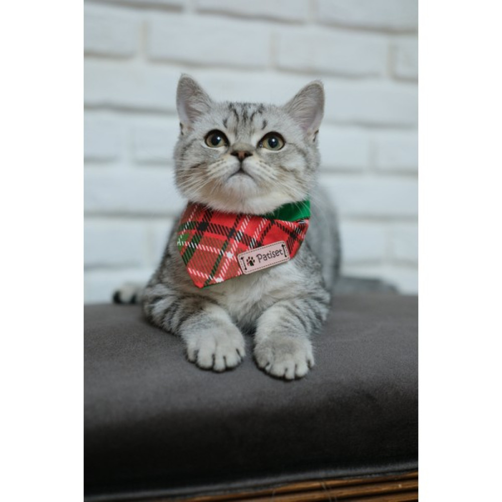 Patiset Ekose Desenli Kırmızı Yeşil Kedi Fuları Evcil Hayvan Kıyafeti Kedi Kıyafeti Evcil Hayvan Ürünleri Fiyatı