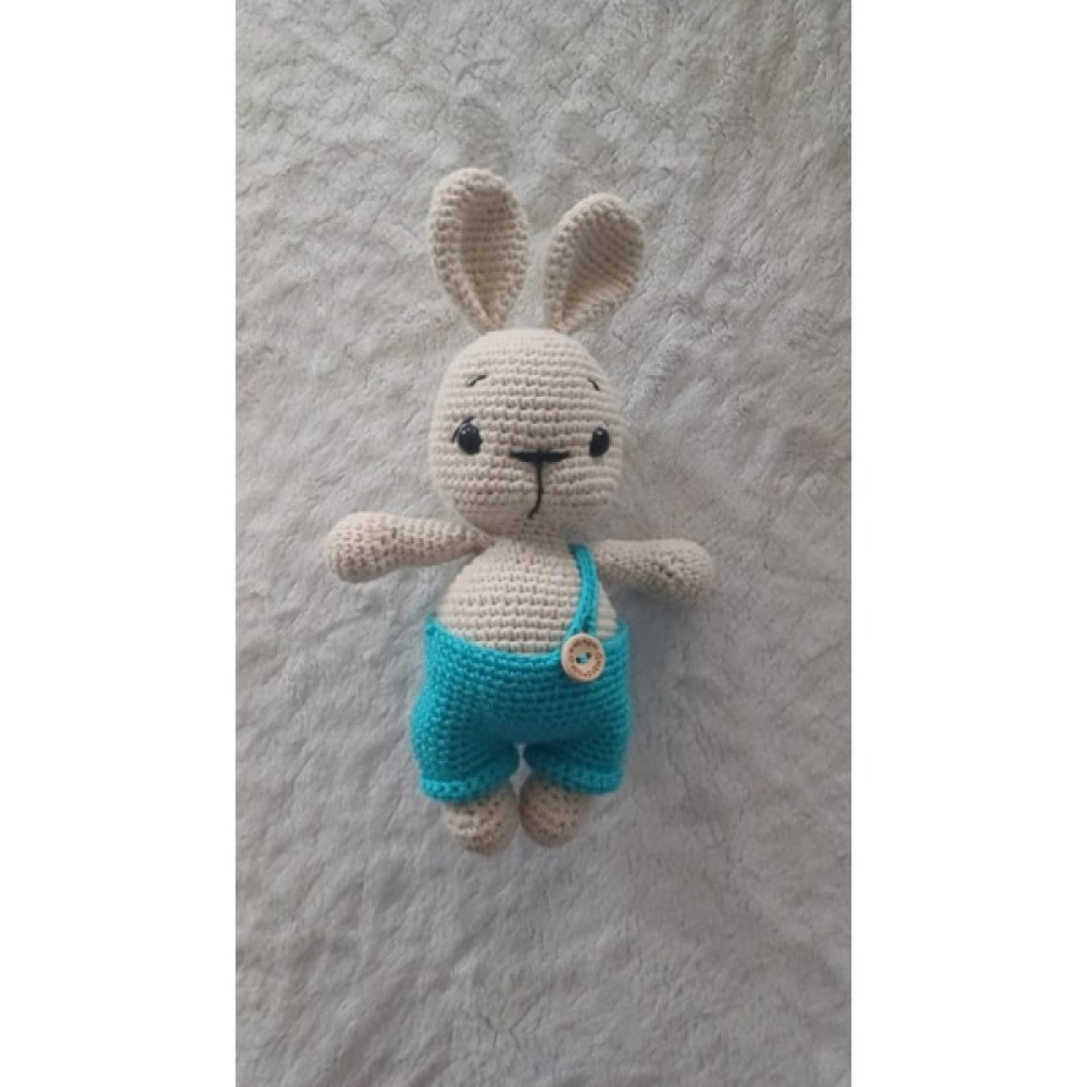 Patron Amigurumi Organik Kız / Erkek Çocuk Tavşan - Mavi Oto Boyaları Fiyatı