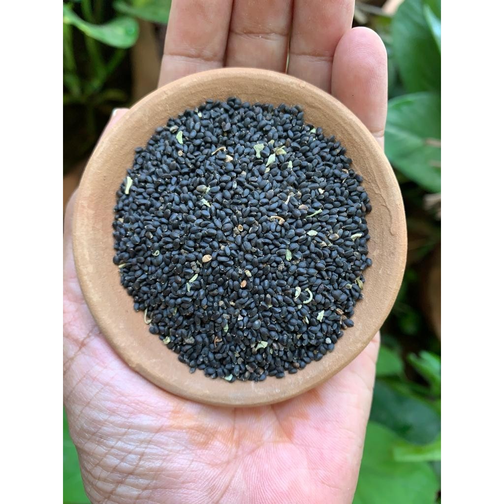 Pauls Micro Farm Ilaçsız Doğal Fesleğen Tohumu 25 Gr. Tohum Fiyatı