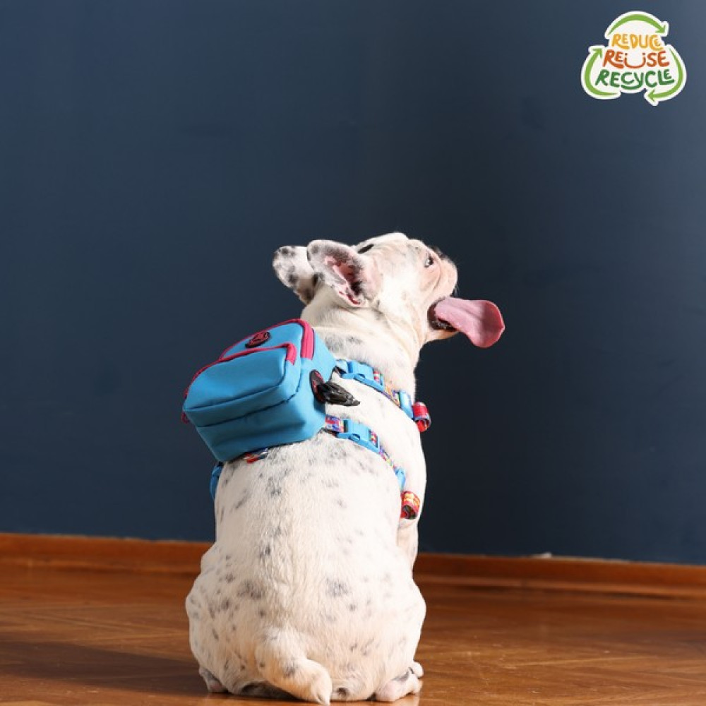 Pawlook Çantalı Köpek Göğüs Tasması Yeşil Tasma - M - L - Mavi Evcil Hayvan Ürünleri Fiyatı