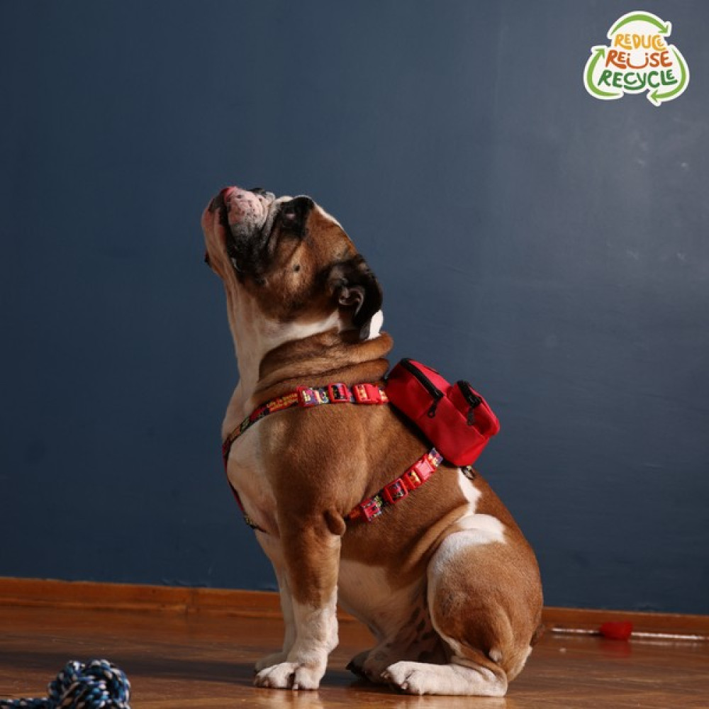 Pawlook Çantalı Köpek Göğüs Tasması Yeşil Tasma - S - Kırmızı Evcil Hayvan Ürünleri Fiyatı