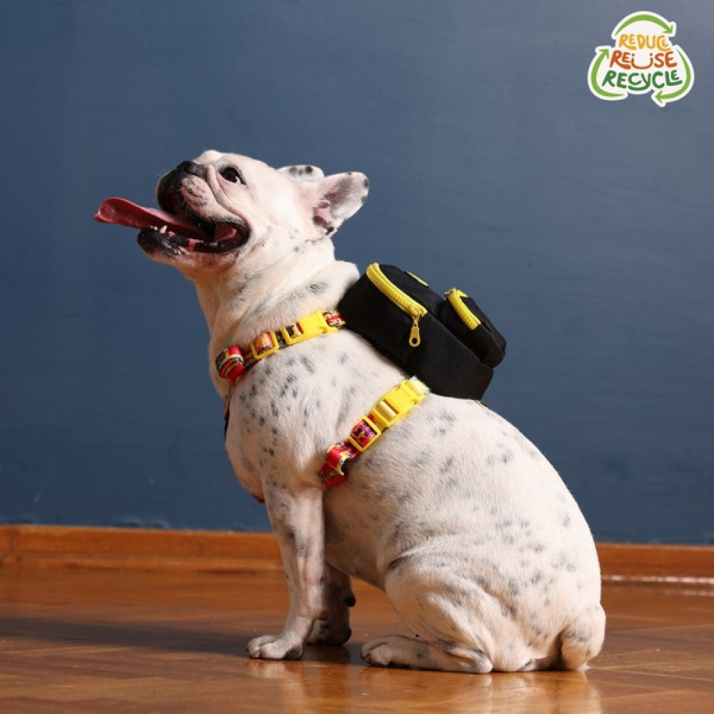 Pawlook Çantalı Köpek Göğüs Tasması Yeşil Tasma - S - Turuncu Evcil Hayvan Ürünleri Fiyatı