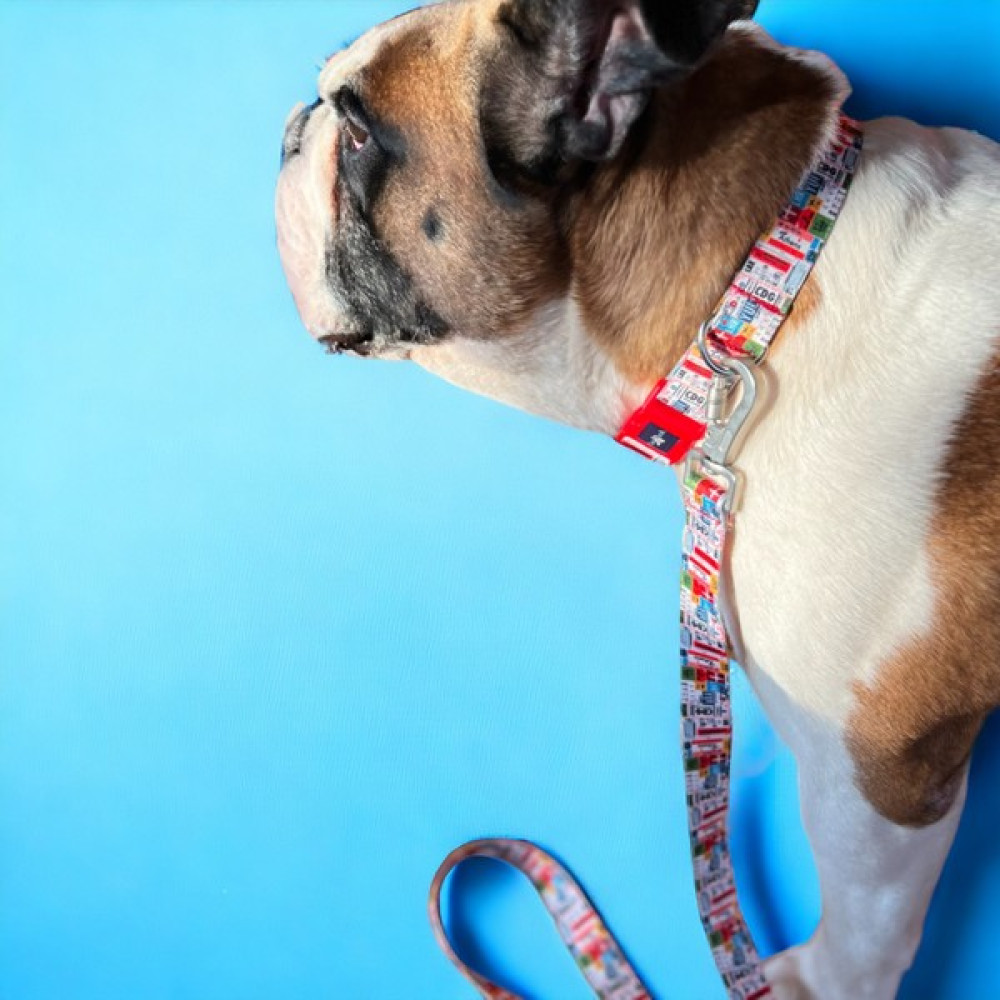 Pawlook Köpek Boyun Tasması, Travel, Boyun Tasması - L - Pembe Evcil Hayvan Ürünleri Fiyatı