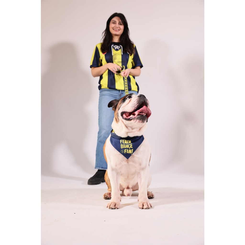 Pawlook Pawlook,fenerbahçe Lisanslı, Köpek Bandanası,tasma - L - Lacivert Evcil Hayvan Ürünleri Fiyatı