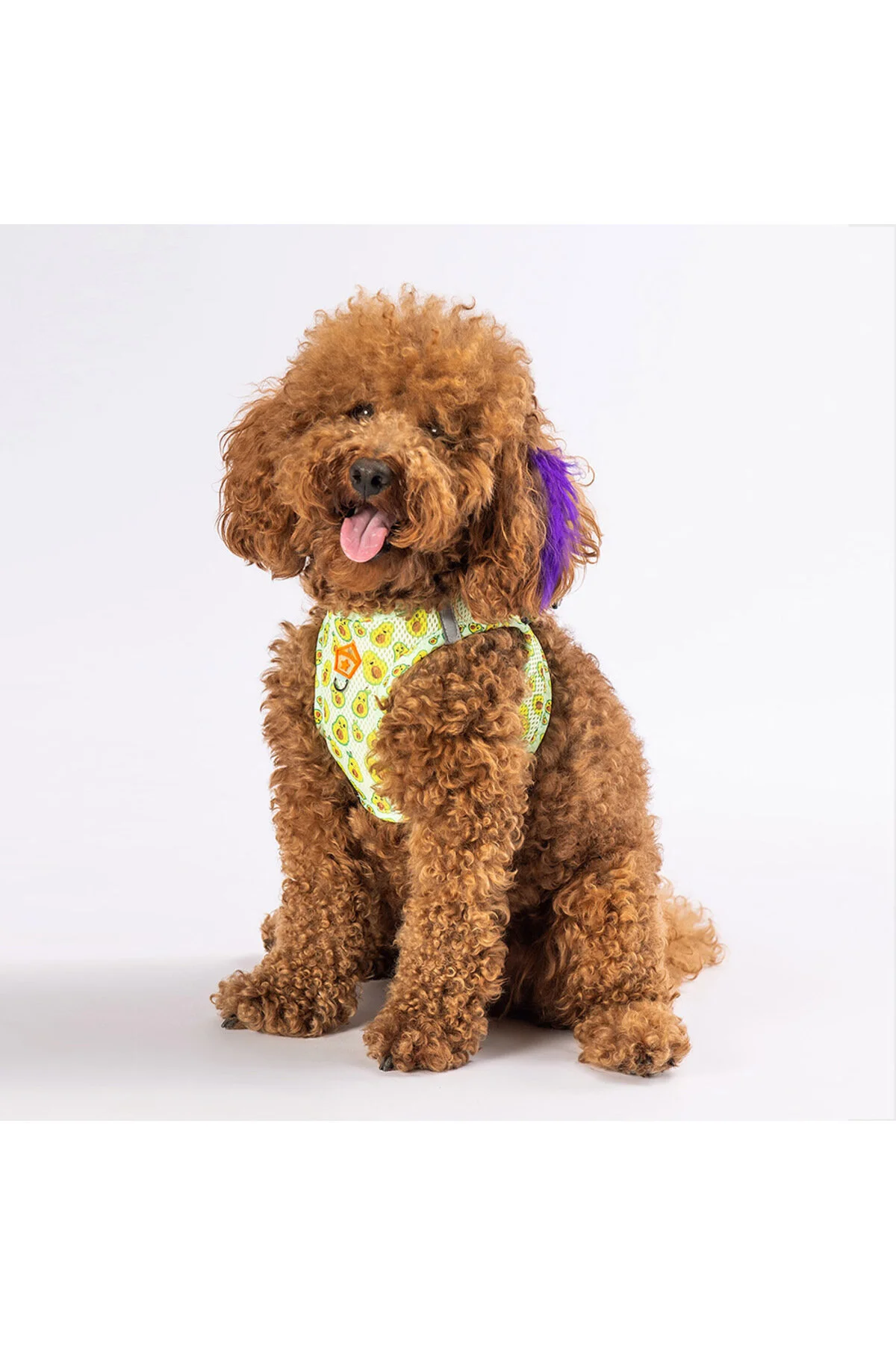 Pawstar Avocado Air-mesh Göğüs Tasması Kedi Köpek Göğüs Tasması M Beden" Evcil Hayvan Ürünleri Fiyatı