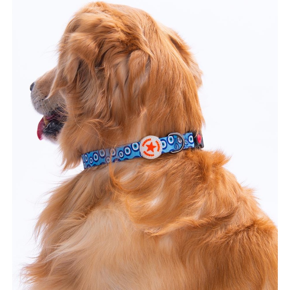 Pawstar Charm Nazar Boncuğu Desenli Köpek Boyun Tasması Ayarlanabilir Köpek Tasması - M - Mavi Evcil Hayvan Ürünleri Fiyatı