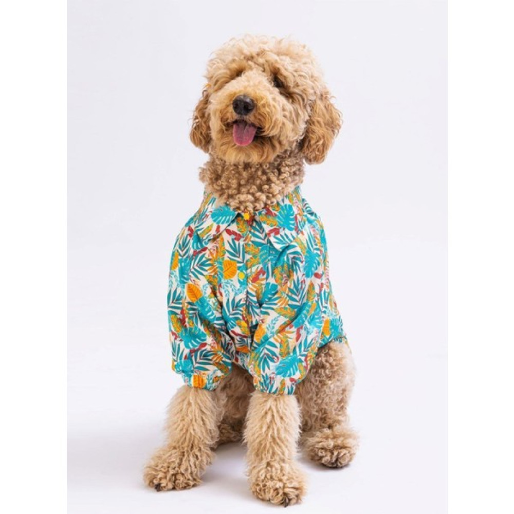 Pawstar Folia Orta-Büyük Irk Köpek Gömleği (11 Kg-45 kg Arasına Uygun) - 4XL Evcil Hayvan Ürünleri Fiyatı