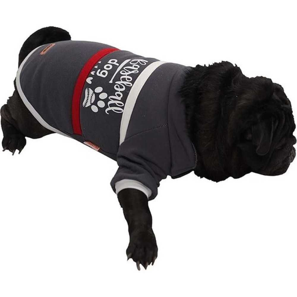 Pawstar Gri Baseball Ceket Sweat Kedi Köpek Ceketi Kedi Köpek Kıyafeti - M Evcil Hayvan Ürünleri Fiyatı