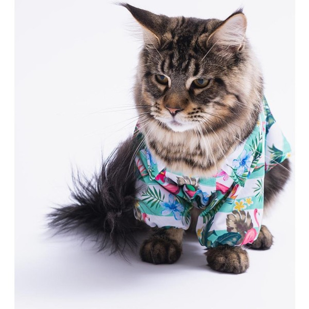 Pawstar Hawai Kedi ve Küçük Irk Köpek Gömleği - 2XL Evcil Hayvan Ürünleri Fiyatı