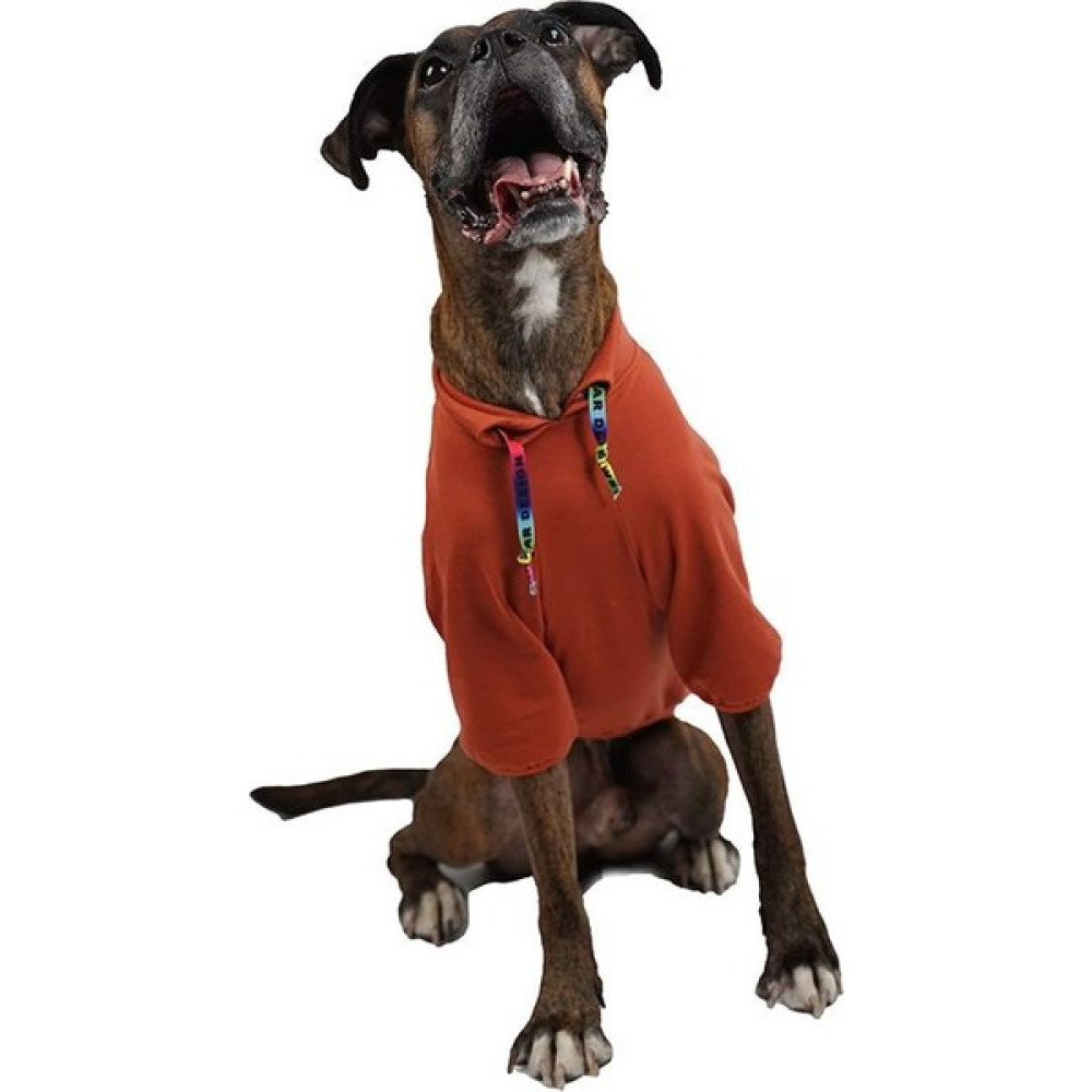 Pawstar Kiremit Don't Panic Orta- Büyük Irk Köpek Sweati Köpek Kıyafeti - 3XL Evcil Hayvan Ürünleri Fiyatı