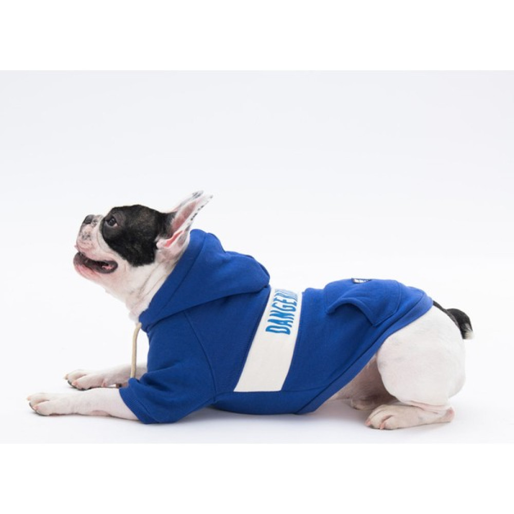 Pawstar Mavi Cute Köpek Hoodie Köpek Sweat Köpek Kıyafeti Kedi Kıyafeti -Xl Evcil Hayvan Ürünleri Fiyatı
