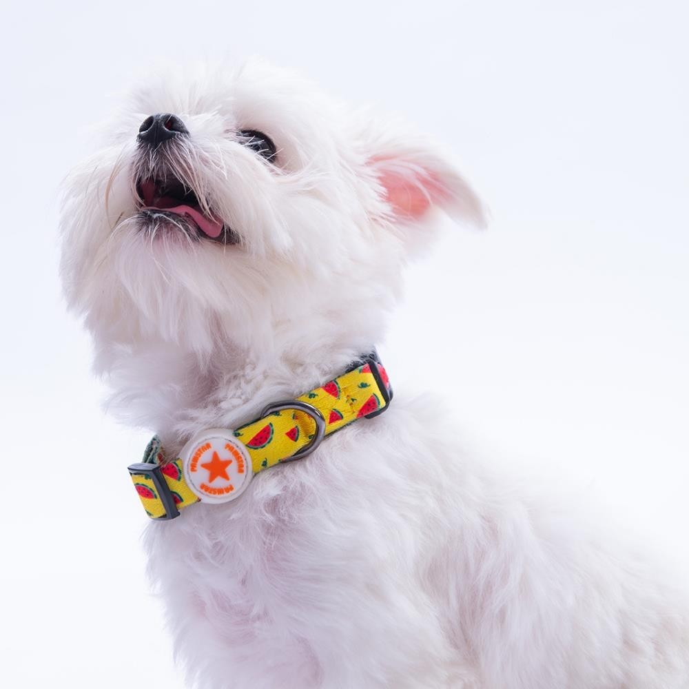 Pawstar Watermelon Karpuz Desenli Köpek Boyun Tasması Ayarlanabilir Köpek Tasması - S - Sarı Evcil Hayvan Ürünleri Fiyatı
