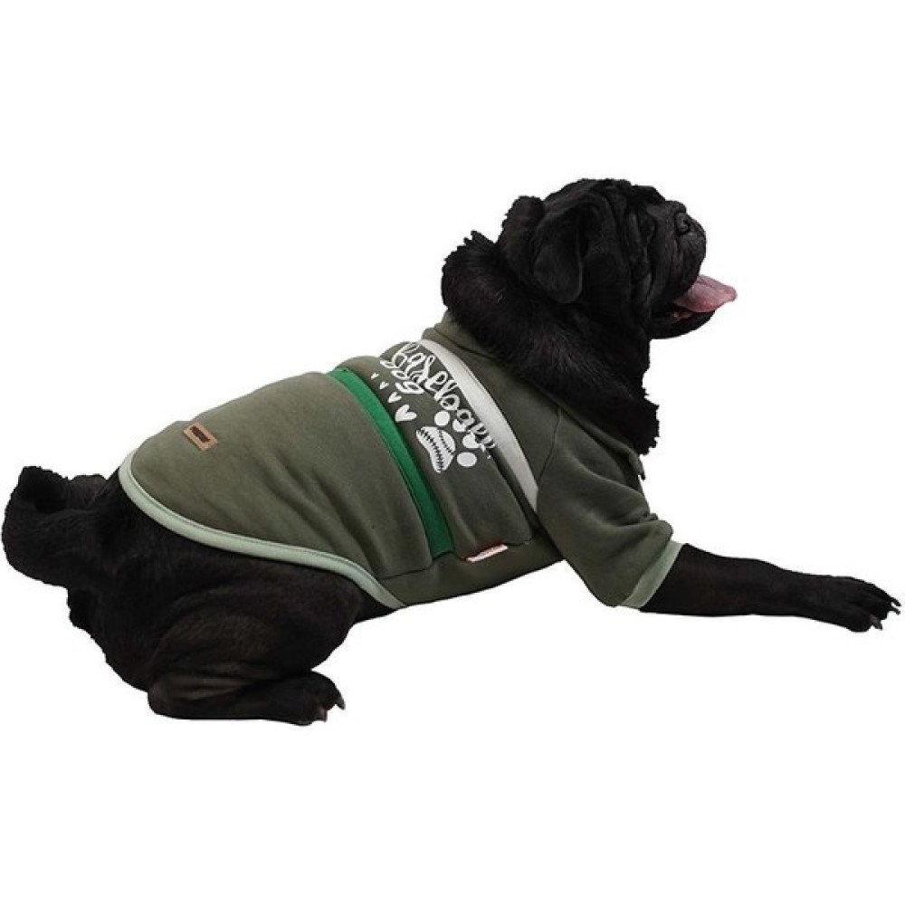 Pawstar Yeşil Baseball Ceket Sweat Kedi Köpek Ceketi Kedi Köpek Kıyafeti - S Evcil Hayvan Ürünleri Fiyatı