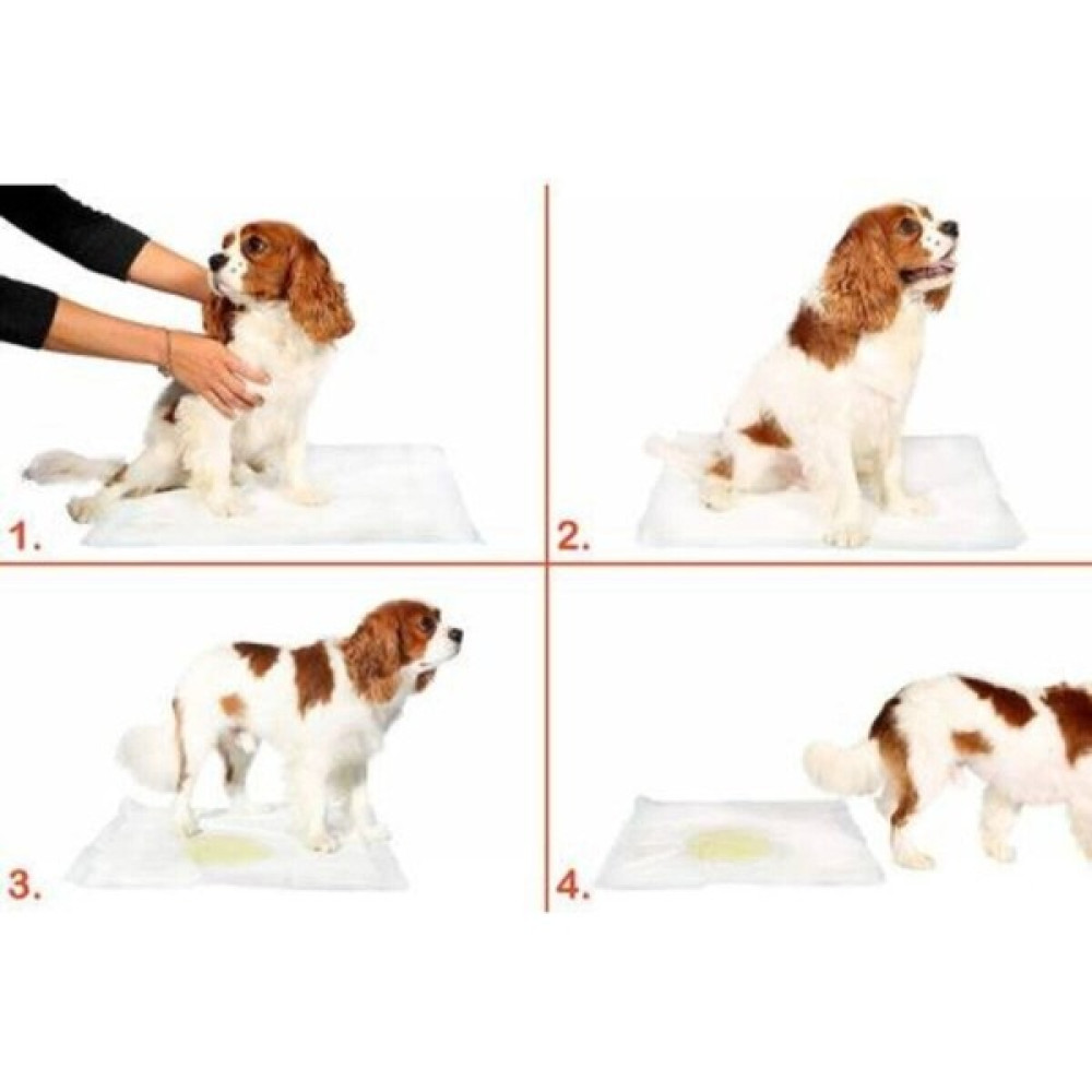 Pedi Paws Köpek Çiş Alıştırma Pedi. 30 Adet Evcil Hayvan Ürünleri Fiyatı