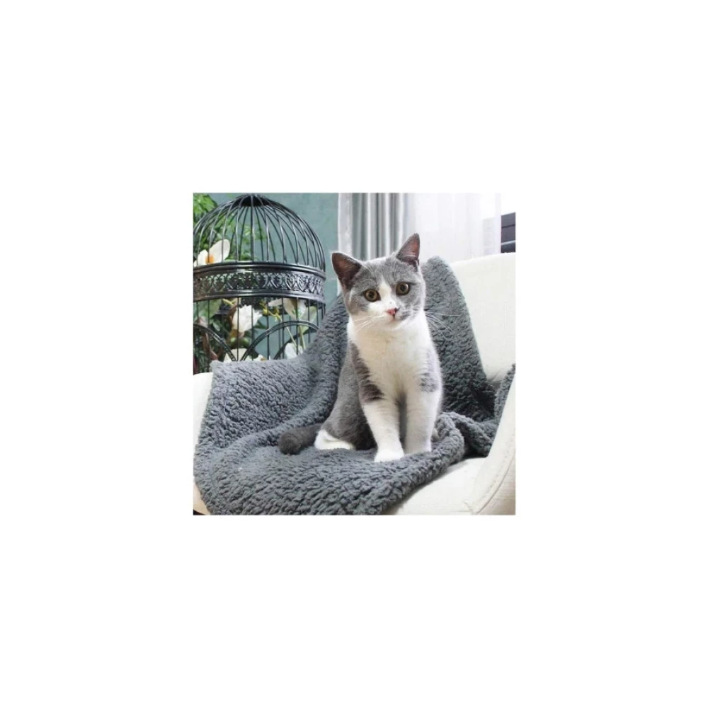 Pelus Kedi Battaniyesi 60X80 Cm Evcil Hayvan Ürünleri Fiyatı