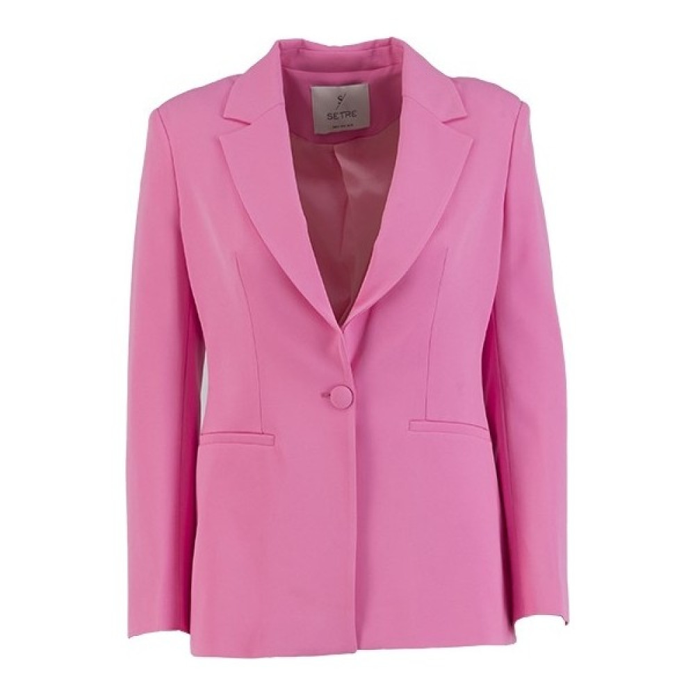 Pembe Blazer Ceket Pantolon Takım Bayan Ceket Fiyatı