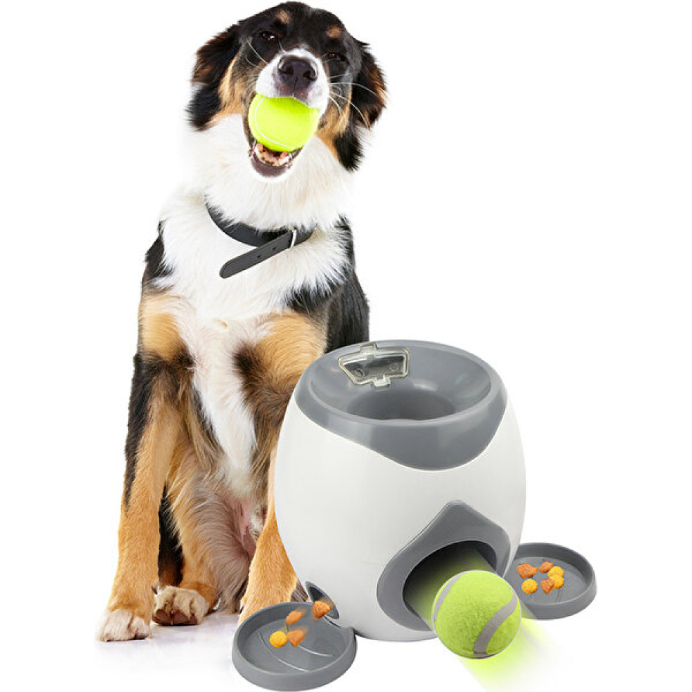 Pet Home TG-CTOYO47 Köpek Tenis Topu Launcher Snack Teşvik Makinesi Interaktif Top Launcher Köpek Topu Atın (Yurt Dışından) - Turuncu Evcil Hayvan Ürünleri Fiyatı