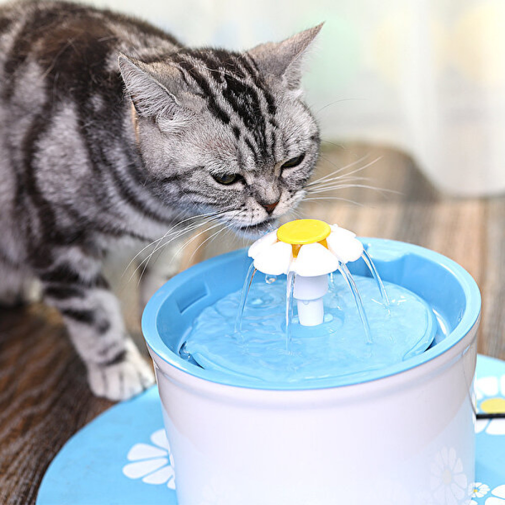 Pet Kedi Evcil Hayvan Su Sebili Klasik Penceresiz Otomatik Sirkülasyonlu Su Sebili Akıllı Su Besleyici (Yurt Dışından) - Açık Mavi Evcil Hayvan Ürünleri Fiyatı
